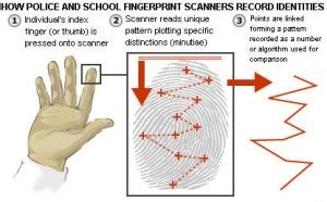 does the autoclave destroy fingerprints|can fingerprints disappear.